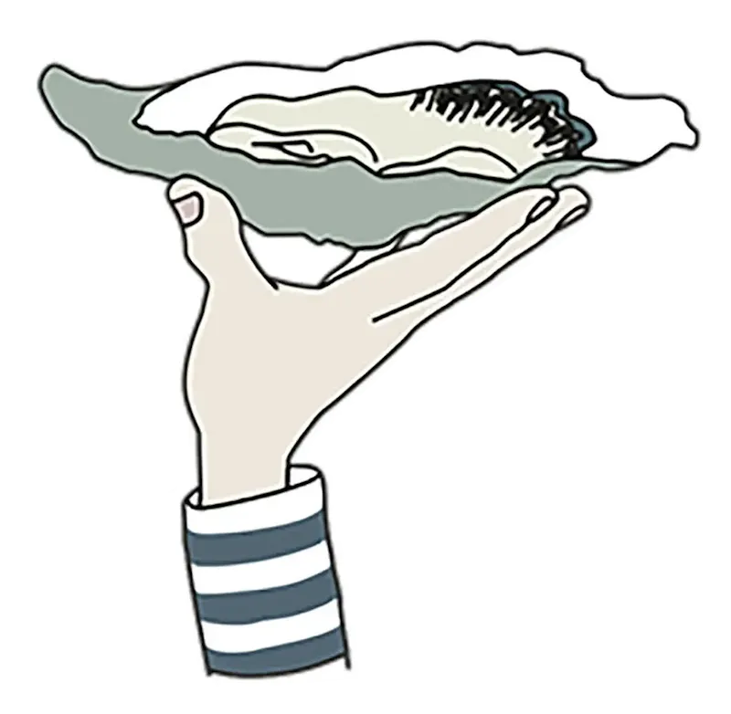 Image of Oyster Oyster