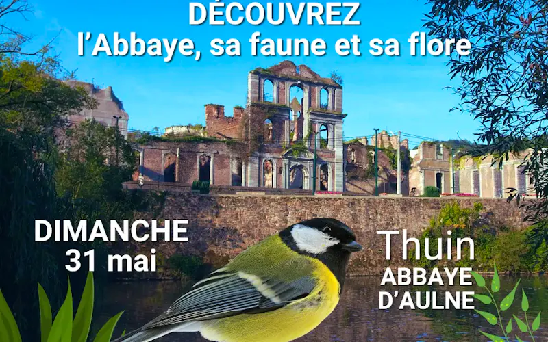 L'Abbaye, sa faune et sa flore