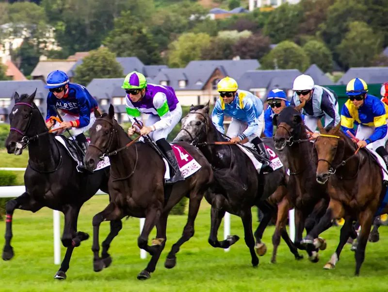group of people riding horses | Foto door Philippe Oursel, op https://unsplash.com/@ourselp?utm_source=centralapp&utm_medium=referral