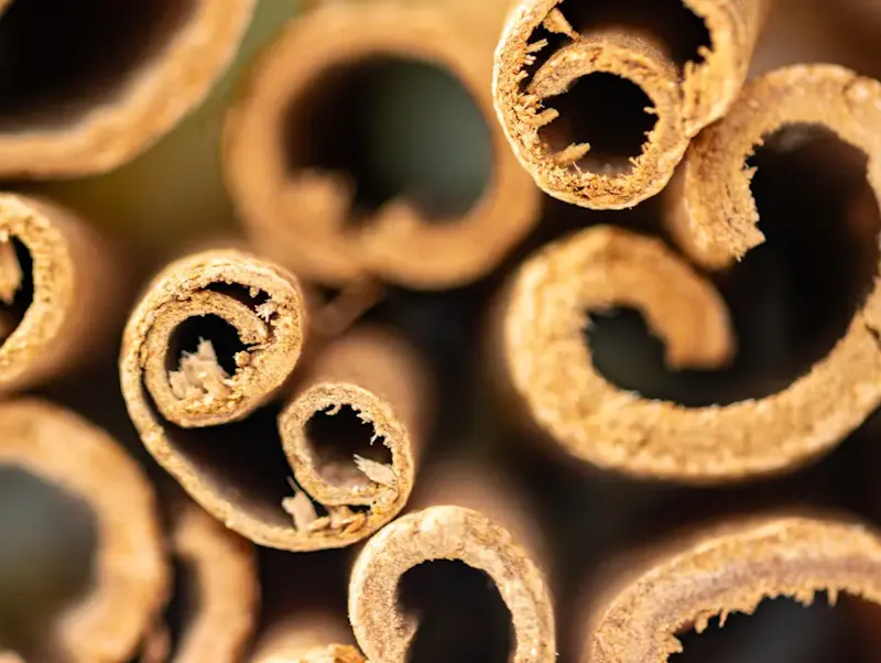 A close up of a bunch of cinnamon sticks | Fotografia de Marek Studzinski, em https://unsplash.com/@jccards?utm_source=centralapp&utm_medium=referral