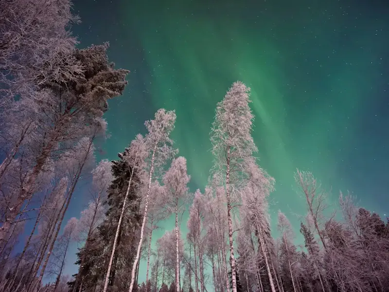 Laissez-vous envoûter par les paysages enneigés, la magie du Grand Nord et la rencontre avec le Père Noël dans un décor digne d’un conte de fées…