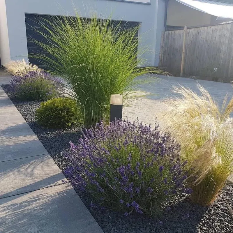 Image of DH - Jardin Design