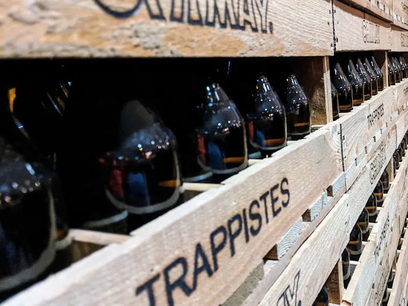 Trappistes