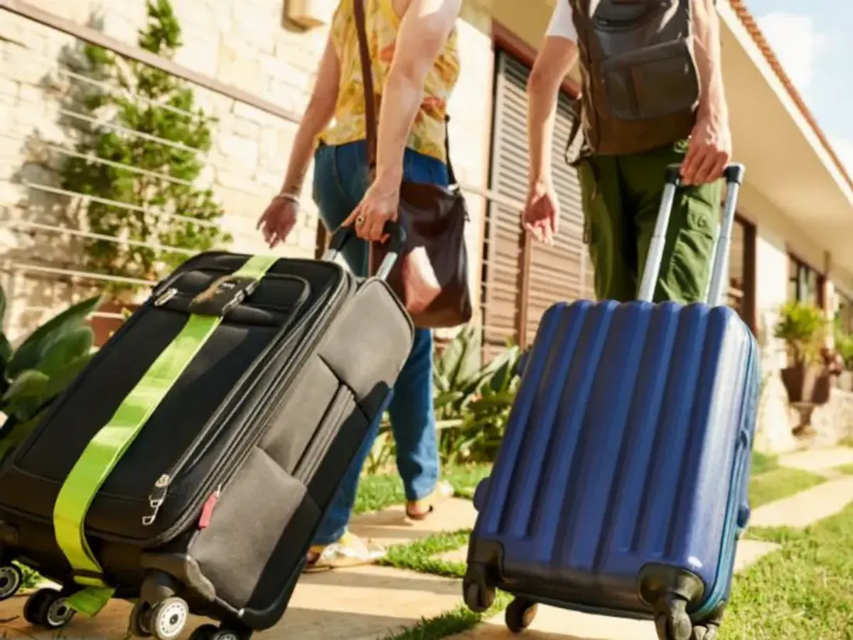 Le Fléau des Punaises de Lit dans les Airbnb pour les Jeux Olympiques Nuisibles Academie
